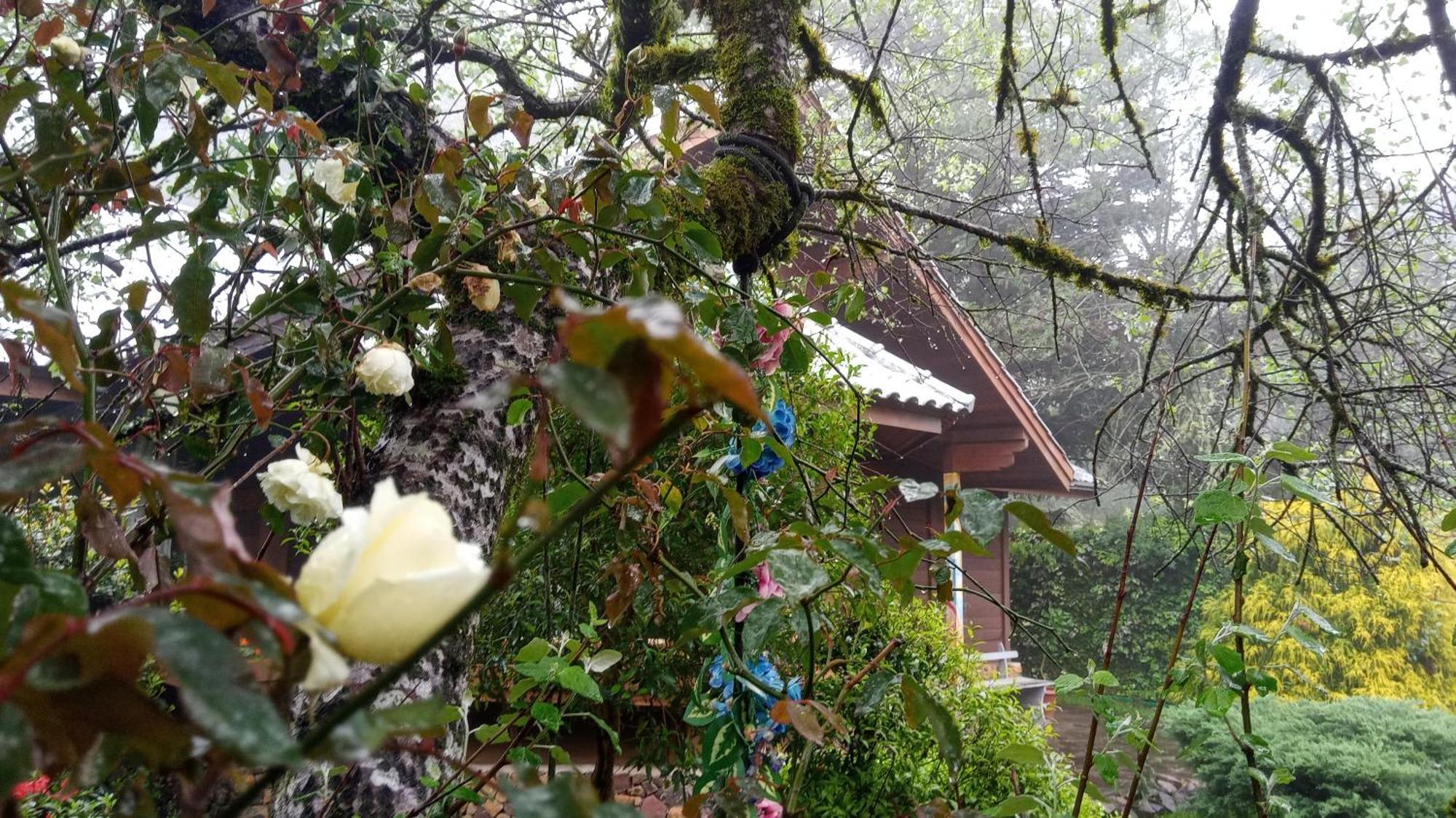 Chalé Martinho Gramado Esterno foto